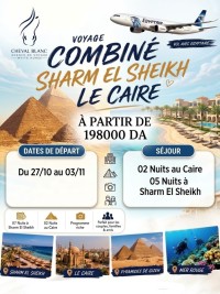 رحلة-سياحية-voyage-organise-combine-le-caire-sharm-el-sheikh-octobre-2026-بئر-مراد-رايس-الجزائر