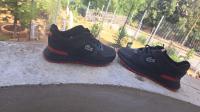 sneakers-lacoste-draria-alger-algeria