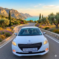 cars-peugeot-301-2013-allure-beni-ouartilene-setif-algeria