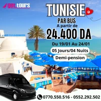 VOYAGE ORGANISE TUNISIE *****