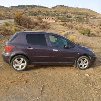 voitures-peugeot-307-2003-xt-minar-zarza-mila-algerie