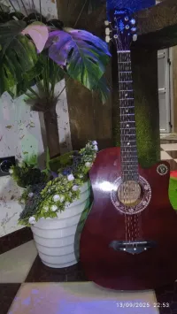 Guitare 