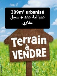 أرض-بيع-تلمسان-الحنايا-الجزائر