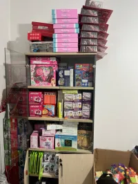 lot affaire jouets 25 article ( quantité total 240 )