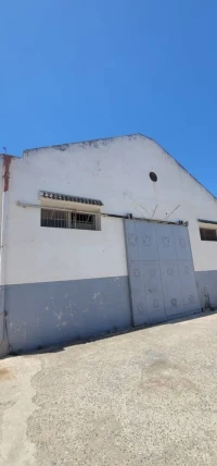 Location Hangar Alger Birkhadem