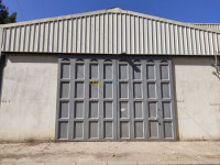 hangar-location-blida-boufarik-algerie