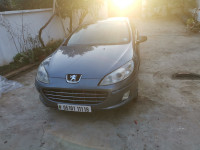 cabriolet-coupe-peugeot-407-2011-cheraga-alger-algerie