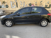 voitures-peugeot-206-plus-2011-algerie