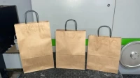 LES SACS EN RAPIER KRAFT FOND V ET FOND CARER 