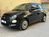 voitures-fiat-500-2023-club-batna-algerie