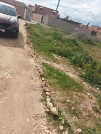 Vente Terrain Chlef Boukadir