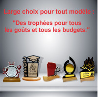 publicite-communication-trophee-pour-toutes-occasions-beni-messous-alger-algerie