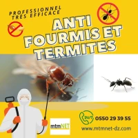 traitements anti termites et fourmis à oran