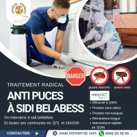 Extermination des puces البرغوث à sidi belabess 