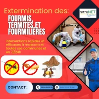 Extermination des fourmis, fourmilières et termites à mascara 