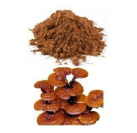 Reishi Bio (En Poudre) (champignon)--- مسحوق فطر الريشي العضوي