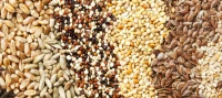 Obésité / surpoids : Différents produits ---السمنة / زيادة الوزن : منتجات مختلفة 