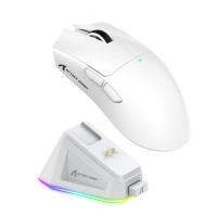 souris attack shark x11
