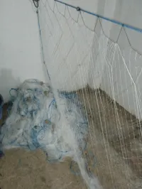 حي الرابطة جيجل