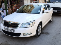 voitures-skoda-octavia-2013-ras-el-aioun-batna-algerie