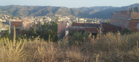 terrain-vente-bouira-lakhdaria-algerie