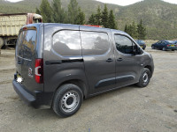 utilitaire-fiat-doblo-2023-professionel-arris-batna-algerie