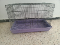 accessoire-pour-animaux-cage-separation-chevalley-alger-algerie