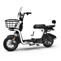 moteur brushless