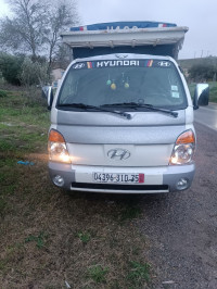 camion-hayounday-h-100-2010-naciria-boumerdes-algerie