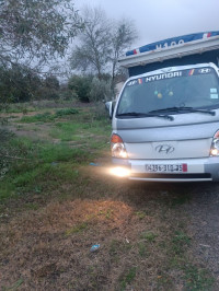 camion-hayounday-h-100-2010-naciria-boumerdes-algerie