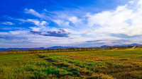 terrain-agricole-vente-msila-el-houamed-algerie