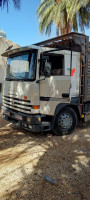 camion-renault-major-1985-ouargla-algerie