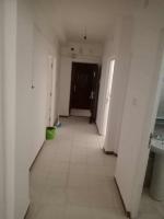 appartement-vente-f3-tipaza-attatba-algerie