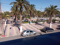 local-location-ain-temouchent-el-malah-algerie