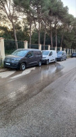 automobiles-fiat-professional-doblo-2024-cheraga-alger-algerie