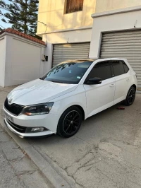 Skoda Fabia 2017 Monte Carlo