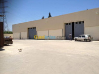 hangar-cherche-location-alger-centre-algerie