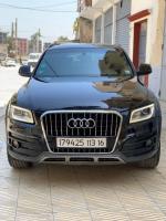 tout-terrain-suv-audi-q5-2013-off-road-les-eucalyptus-alger-algerie