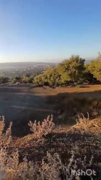 terrain-vente-bouira-algerie