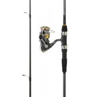 Ensemble Spinning Daiwa Canne + Moulinet Laguna 