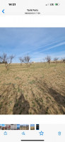 terrain-vente-bouira-sour-el-ghouzlane-algerie