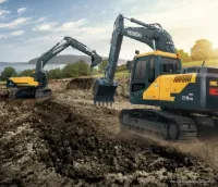 Hyundai PELLE 220 2024