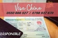 booking-visa-chine-dely-brahim-alger-algeria