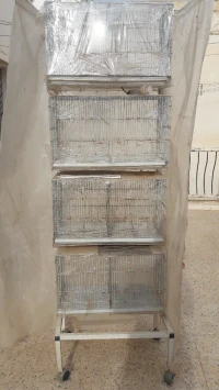batteries démontable de 4 cages couveuses