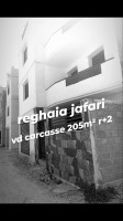 carcasse-vente-alger-reghaia-algerie