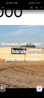 terrain-vente-alger-baraki-algerie