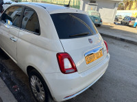 voitures-fiat-500-2023-club-bir-el-djir-oran-algerie