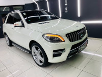 voitures-mercedes-ml-2014-250-cdi-pack-amg-bordj-bou-arreridj-algerie