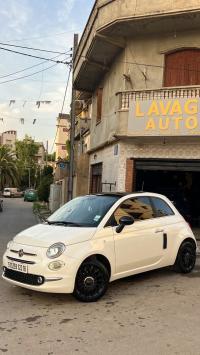 سيارات-fiat-500-2023-club-الجزائر-وسط
