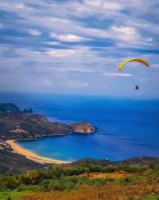 terrain-vente-annaba-seraidi-algerie